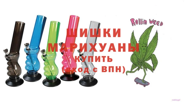 ГАЛЛЮЦИНОГЕННЫЕ ГРИБЫ Верея