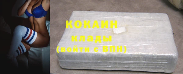 ГАЛЛЮЦИНОГЕННЫЕ ГРИБЫ Верея