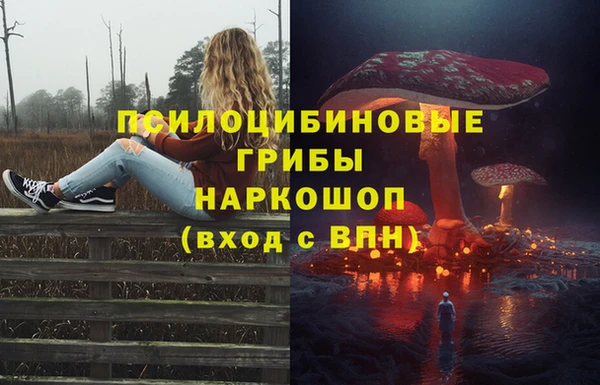 молекула духа Верхний Тагил