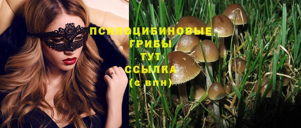 крисы Бугульма