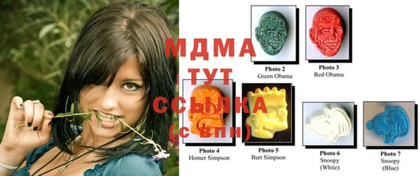 ГАЛЛЮЦИНОГЕННЫЕ ГРИБЫ Верея